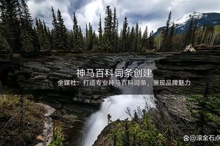 上一个对绿军出手44+的球员：2002年的科比 47投17中砍41分