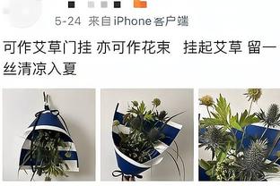 镜报：哈兰德与女友前往迪拜共度新年，并和拳击手约书亚见面